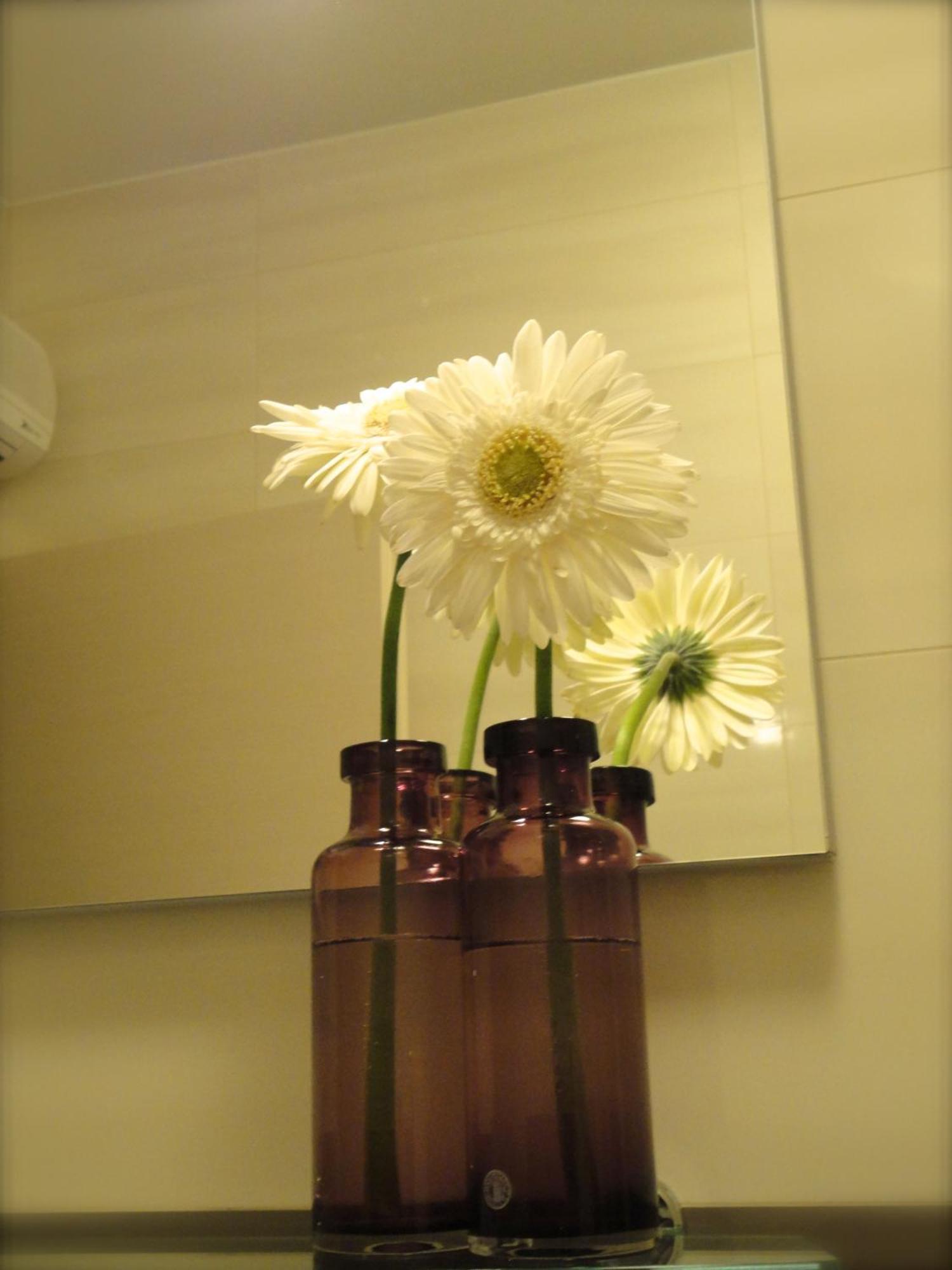 Dubrovnik Sunrise Apartment Pokój zdjęcie